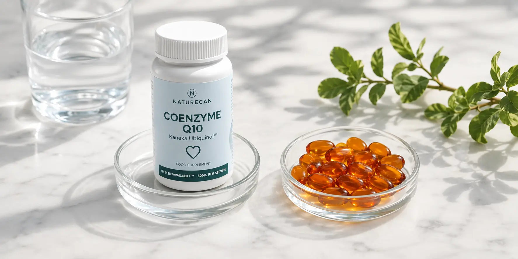 Ubiquinol vs CoQ10: What's the Difference and Which Should You Take?
