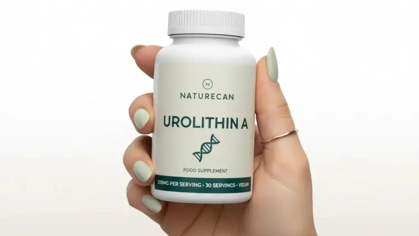 can glutathione shrink fibroids How to Shrink Fibroids without Surgery? can glutathione shrink fibroids How to Shrink Fibroids without Surgery?