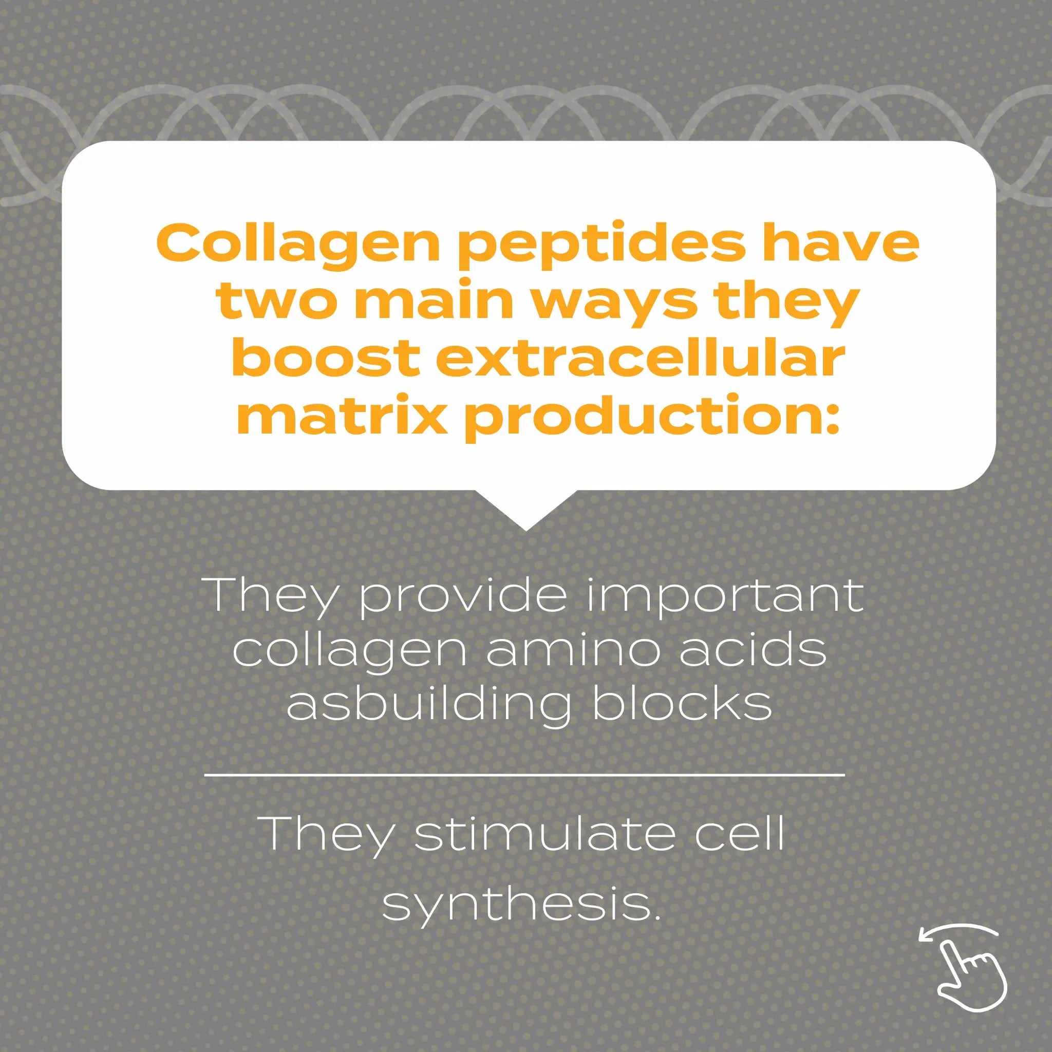 Collagen Peptides Powder