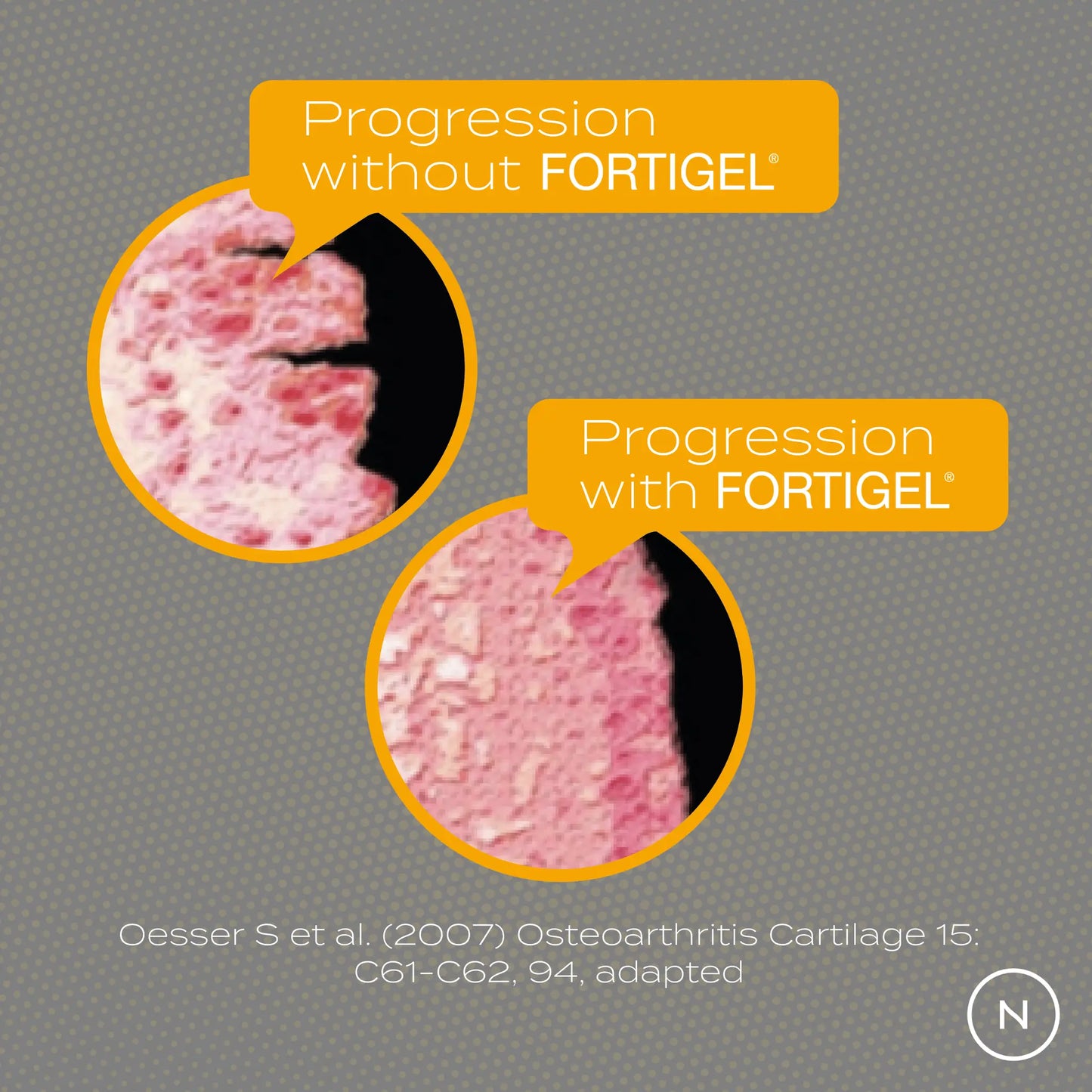 Collagen Peptides Powder