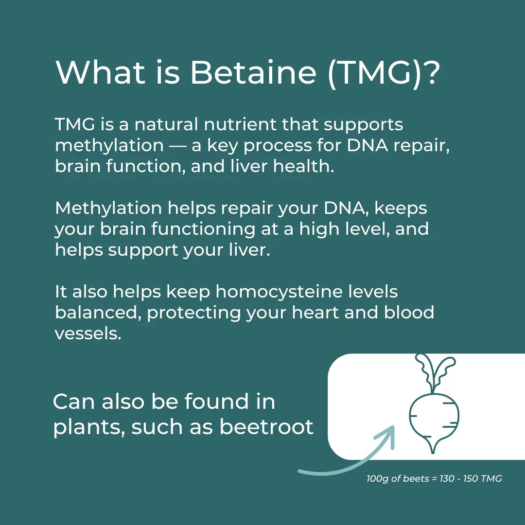 TMG Supplement