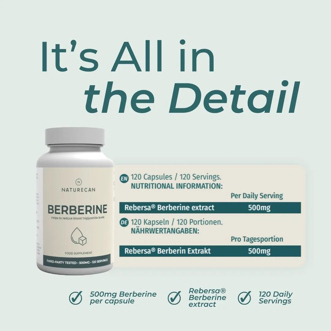A supplement bottle labeled Naturecan Berberine on a pale green background with large text reading 'It's All in the Detail' and a callout panel showing 120 capsules, 120 daily servings, and 500mg Rebersa Berberine extract.