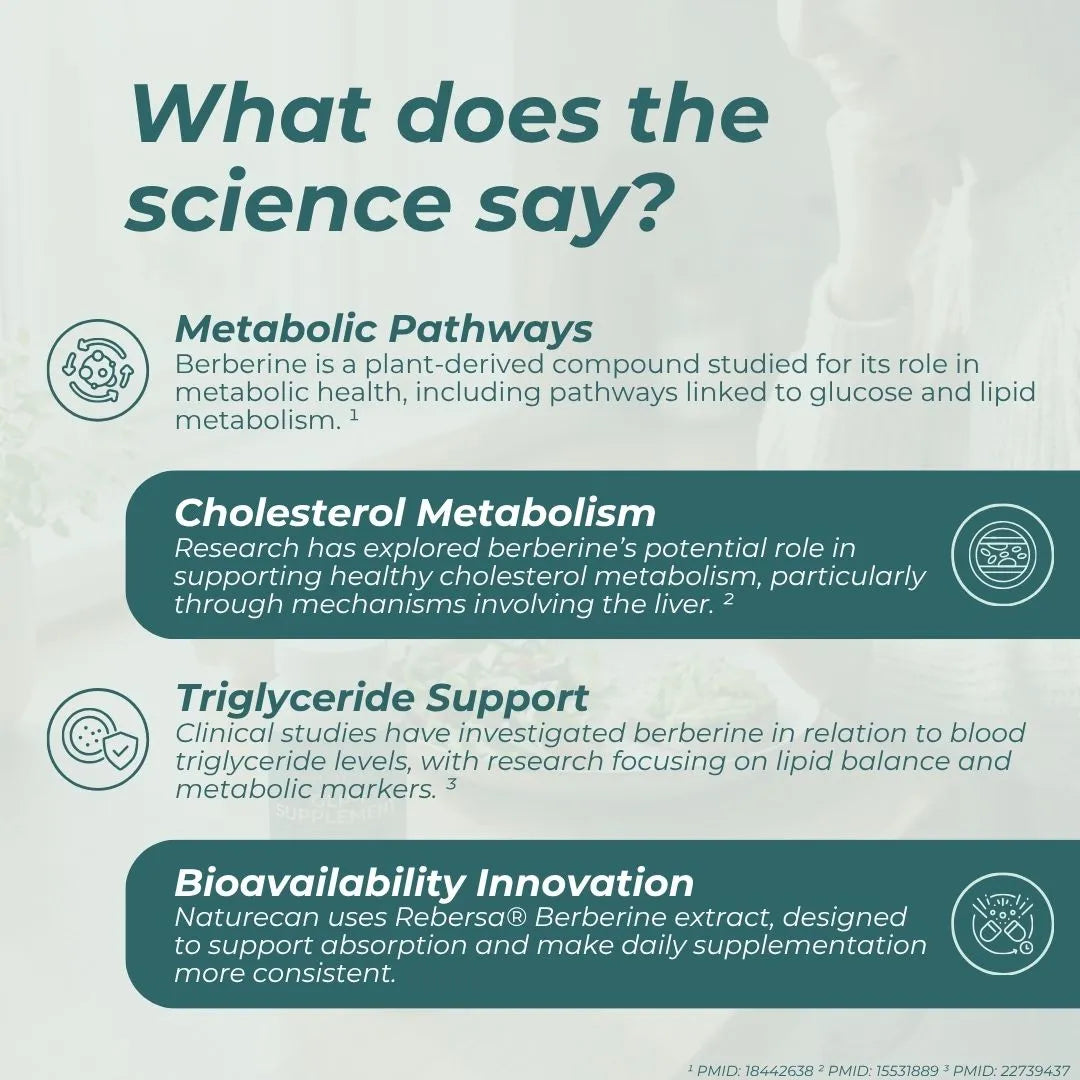 An informational infographic titled 'What does the science say?' about berberine, with four dark teal text panels explaining metabolic pathways, cholesterol metabolism, triglyceride support, and bioavailability, set on a pale mint background with small line icons.