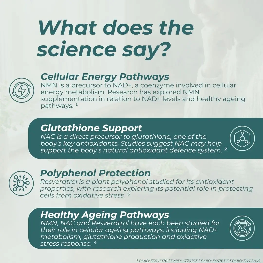 An informational infographic titled 'What does the science say?' with three dark teal text panels on a pale mint background. The panels discuss Cellular Energy Pathways, Glutathione Support, Resveratrol Protection, and Healthy Ageing Pathways, each accompanied by a small line icon.