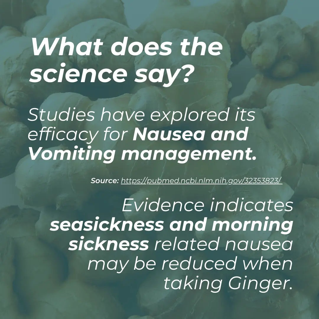Text overlay on a blurred background with people, discussing ginger's efficacy for nausea and vomiting management.