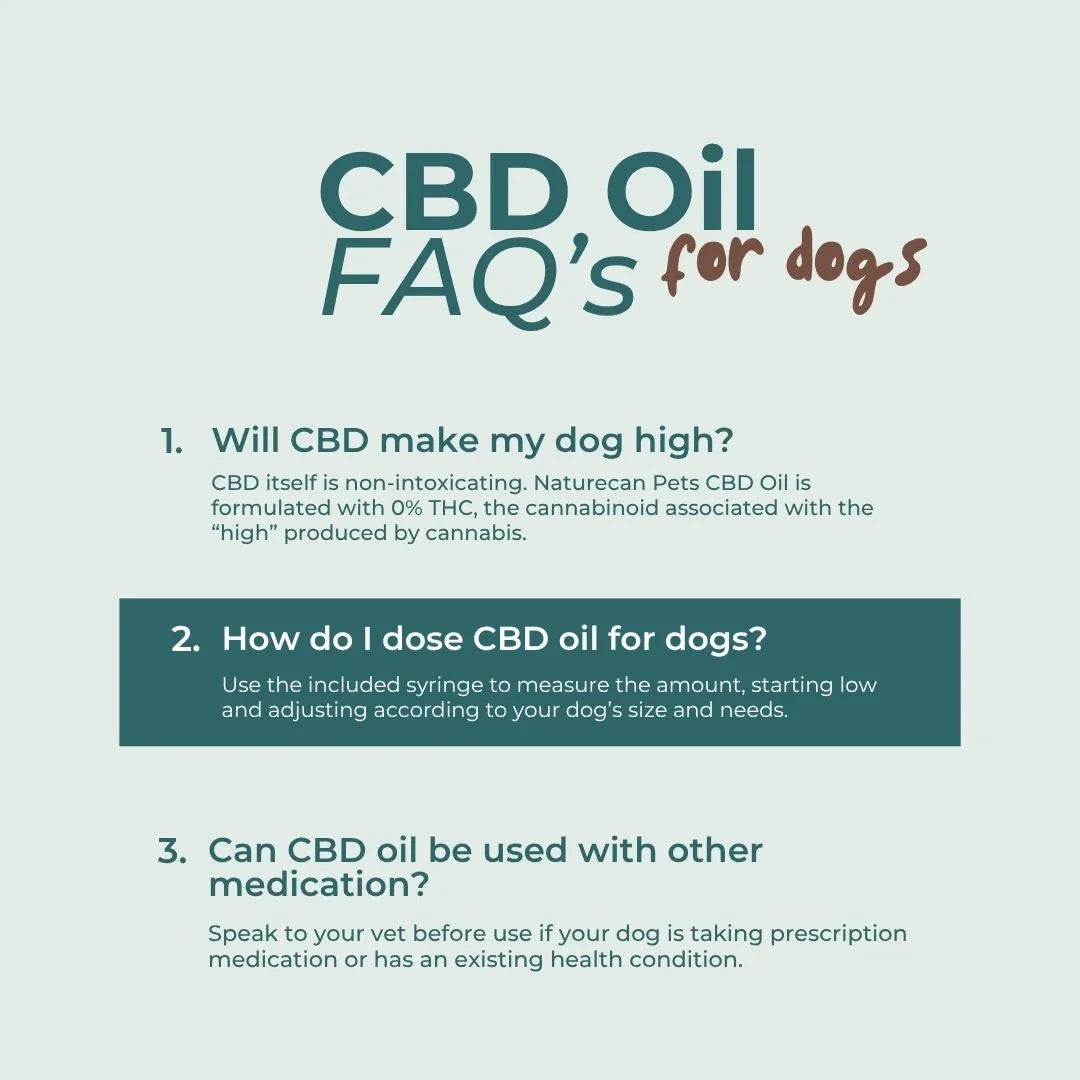 CBD Oil for Dogs