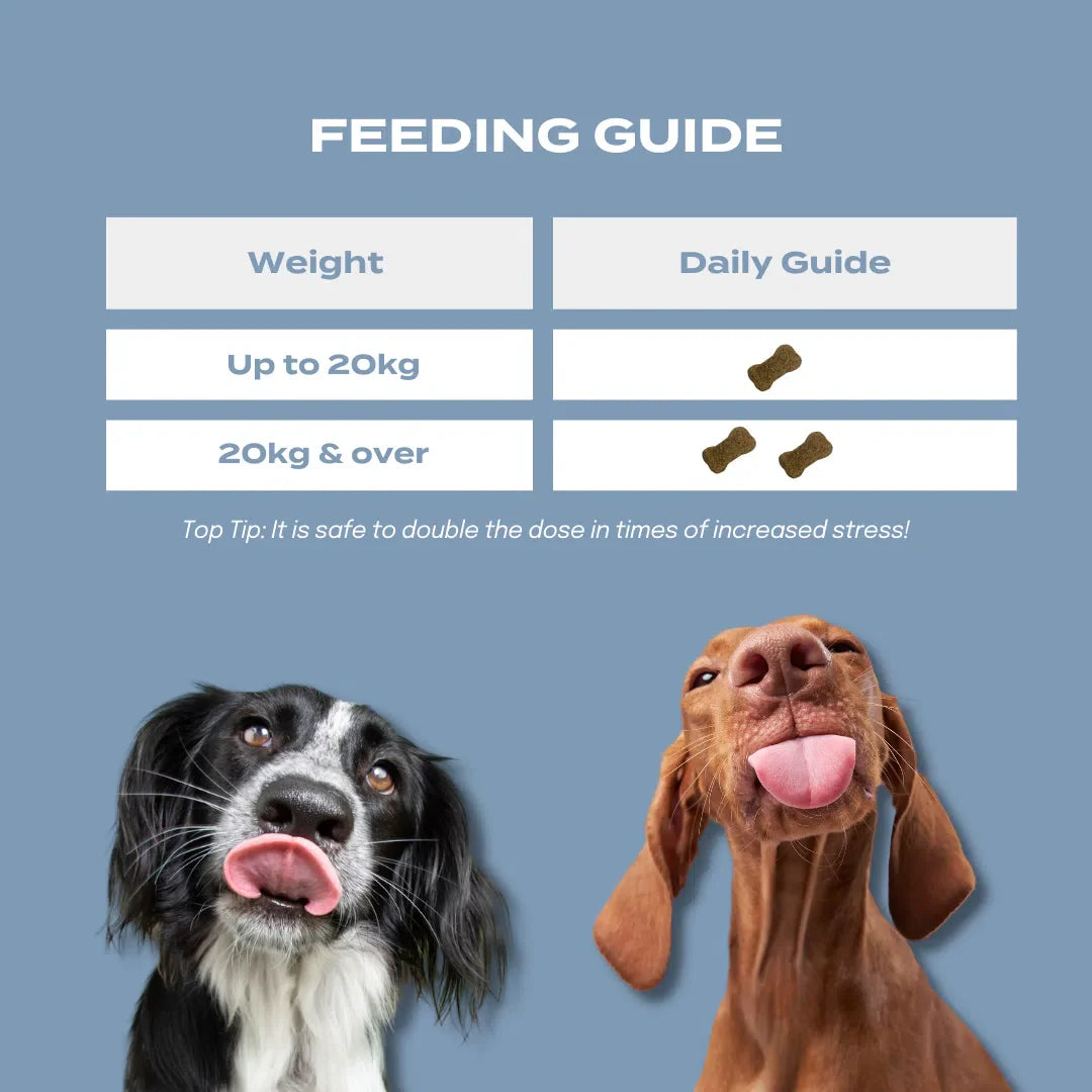CBD Dog Treats for Calm