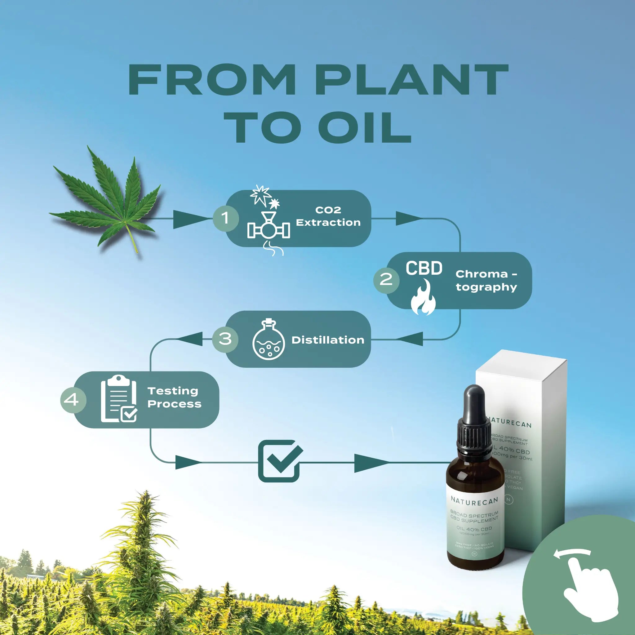 Flowchart of the CBD oil production process with a bottle and box labeled