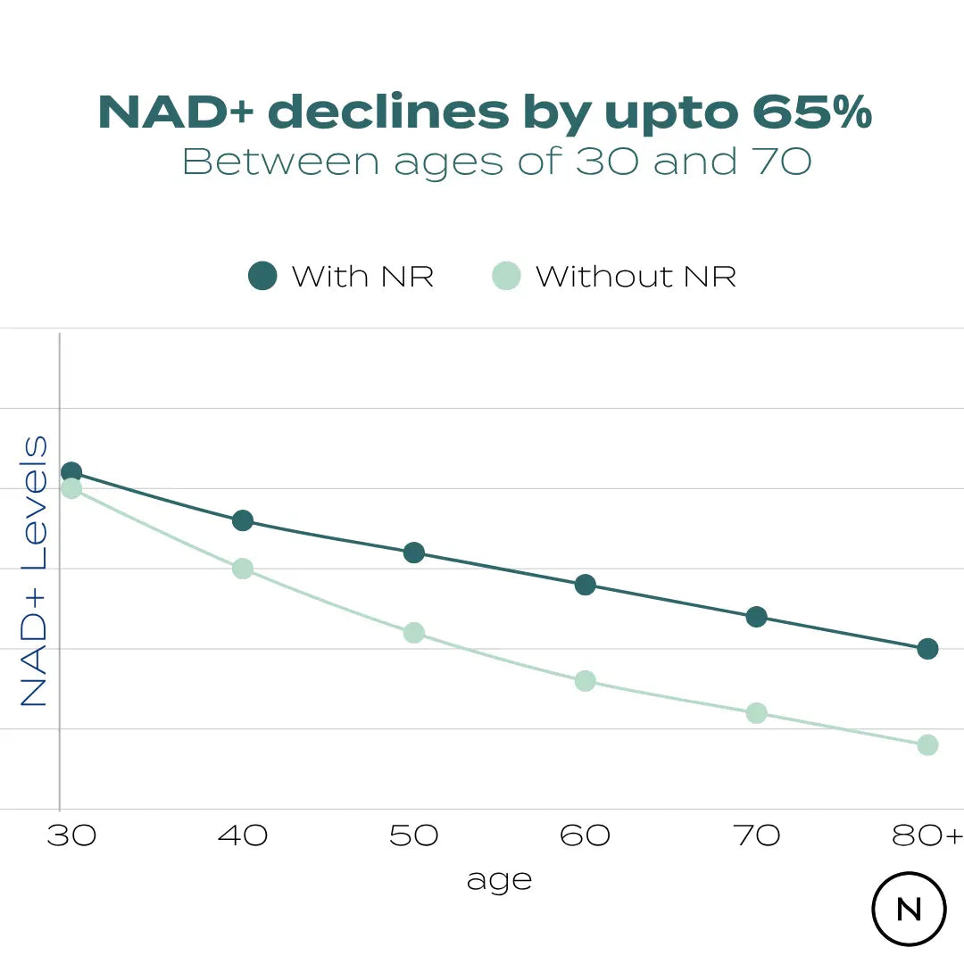 NAD Supplement (NR)