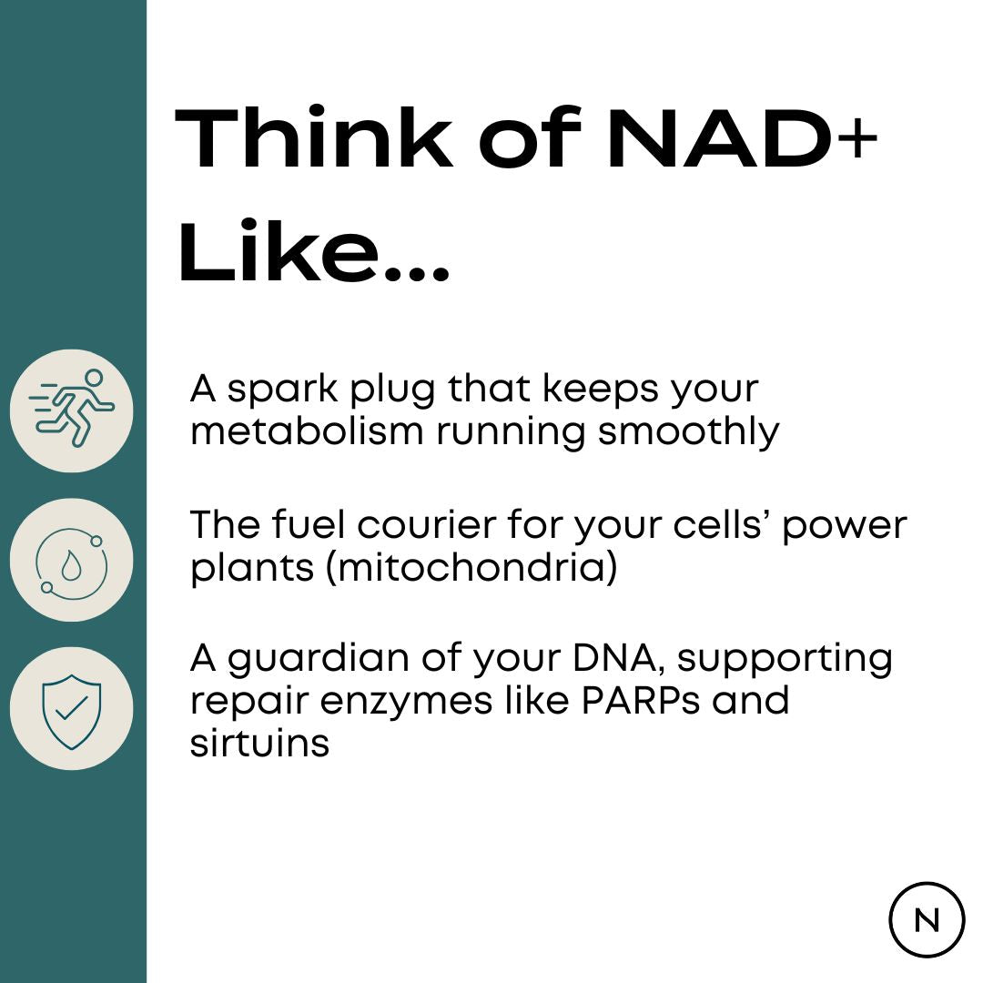 NAD Supplement (NR)