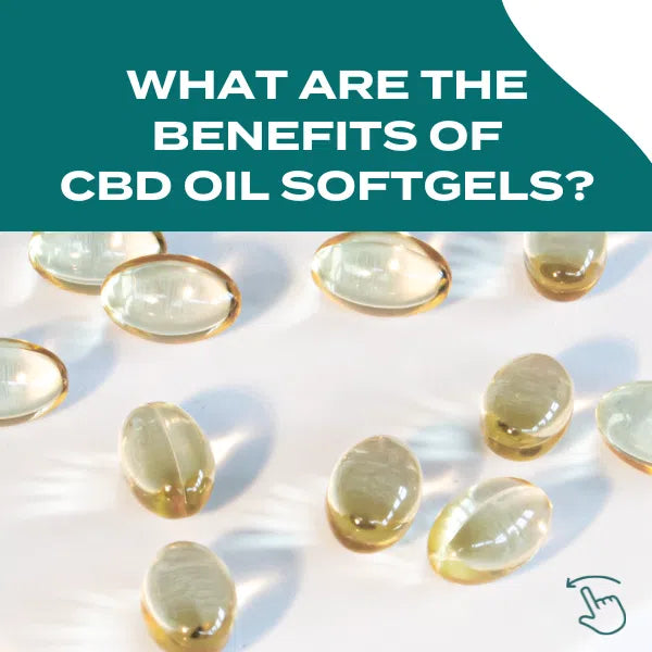 Scattered clear softgel capsules with text above asking about the benefits of CBD oil softgels.