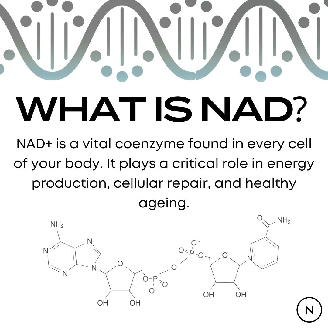 NAD Supplement (NR)