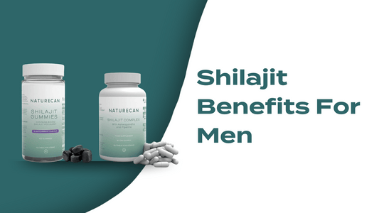 shilajit benefits & uses blog | Naturecan Australia