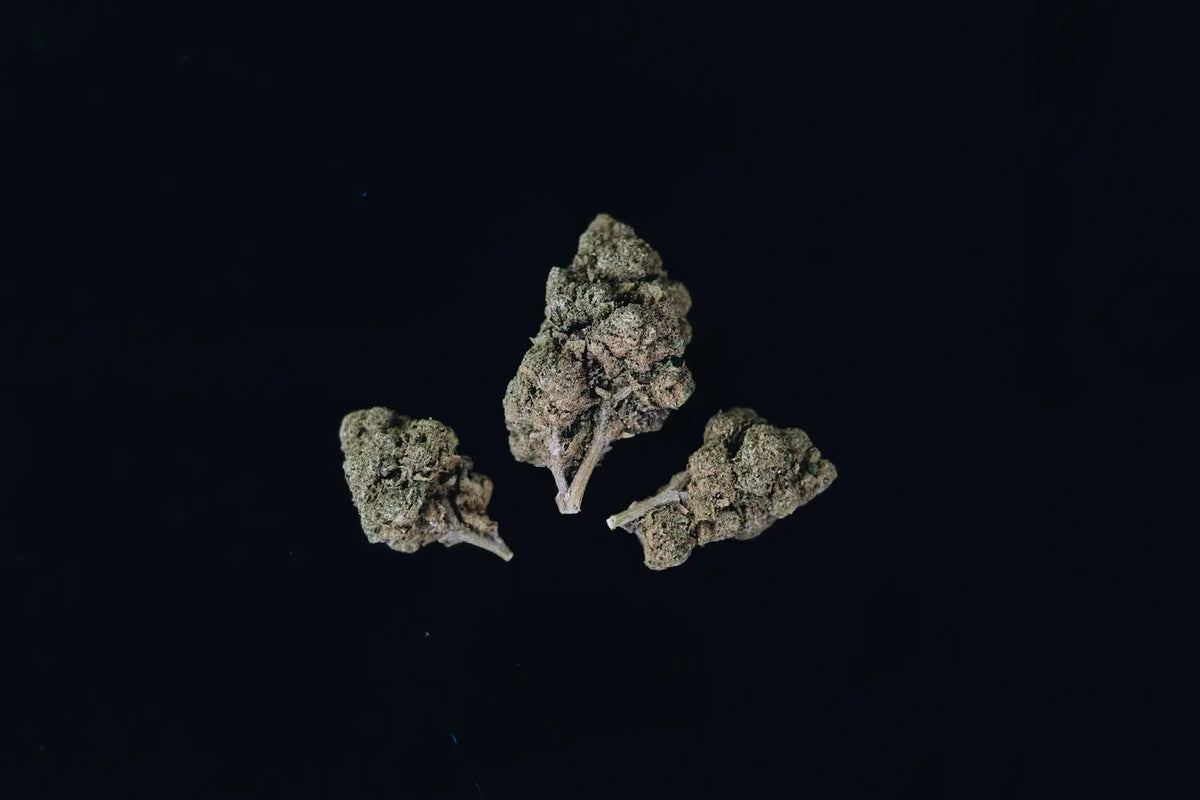 CBC: A Detailed Look Inside the Hemp Plant