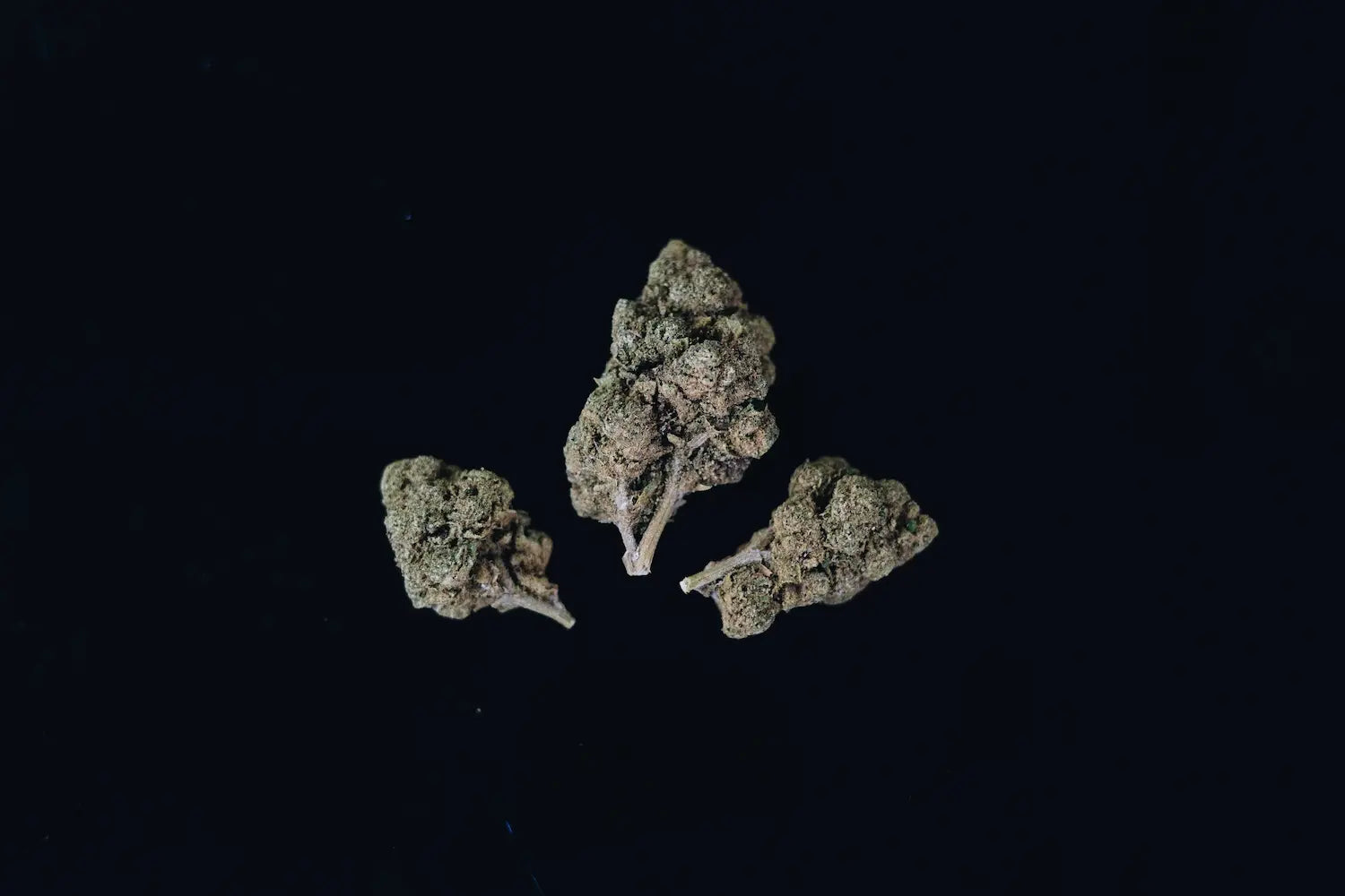 CBC: A Detailed Look Inside the Hemp Plant