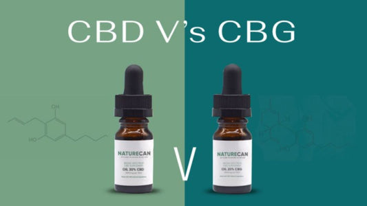 CBD vs CBG Oil