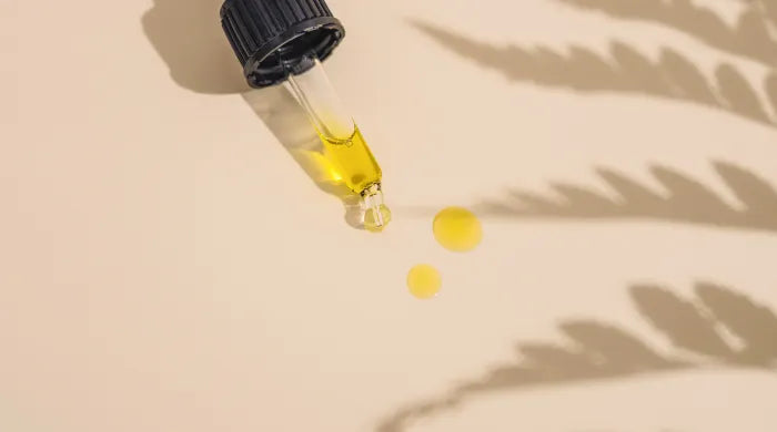 Can you travel with CBD?