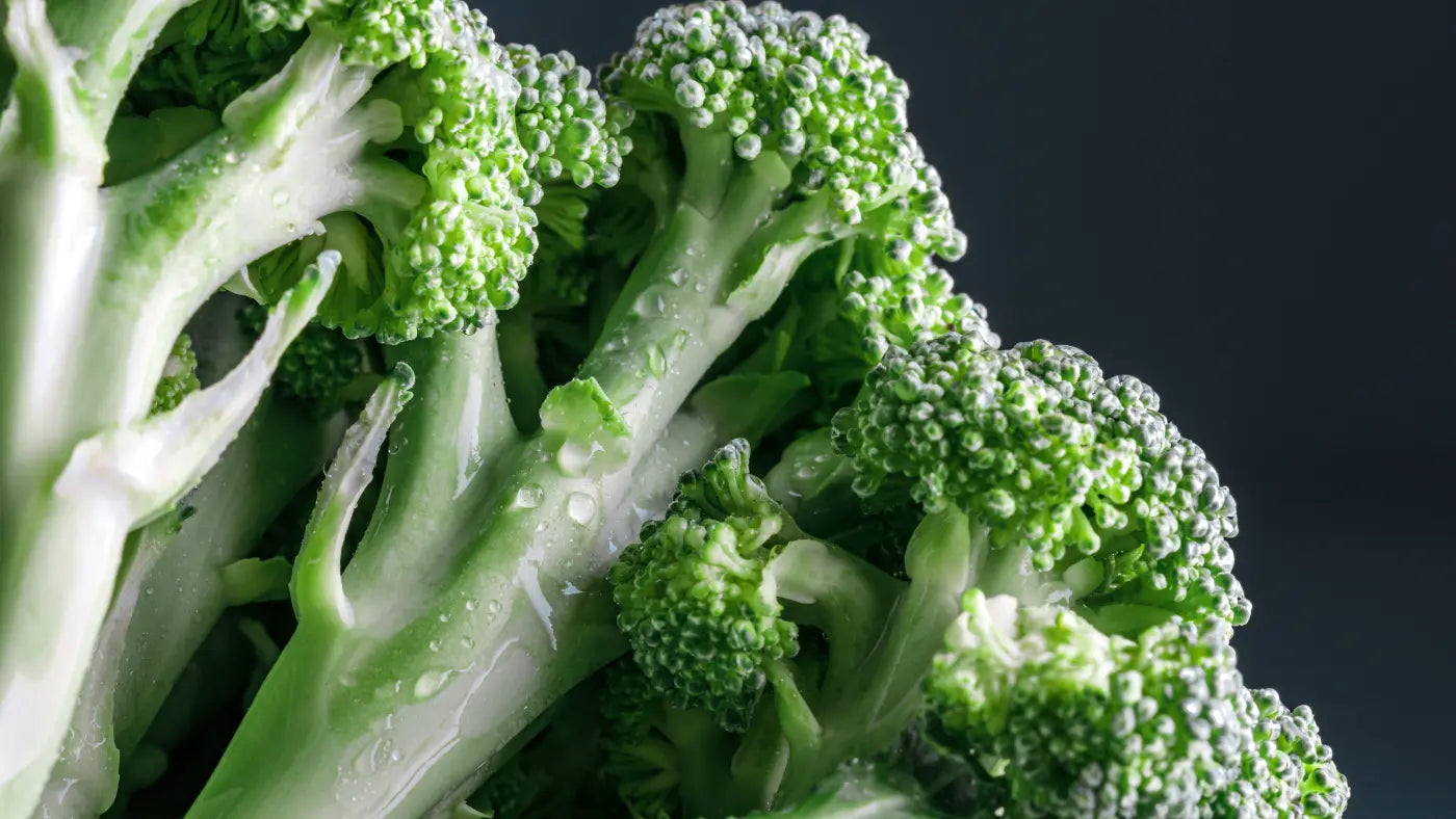 Broccoli Sprouts Benefits: Is Sulforaphane Anti-Ageing?