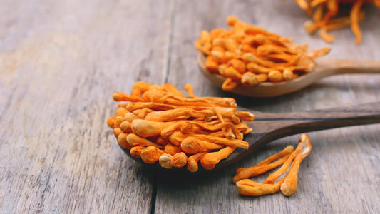 Cordyceps Benefits, Dosage and Side Effects