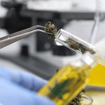 Does CBD show up on a drug test? | Naturecan AU