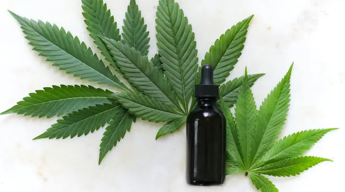 What are cannabinoids? And how do they work?