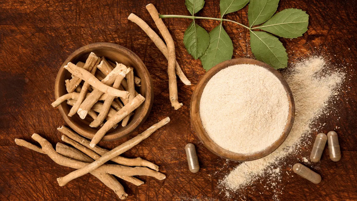 Rhodiola VS Ashwagandha what is better?