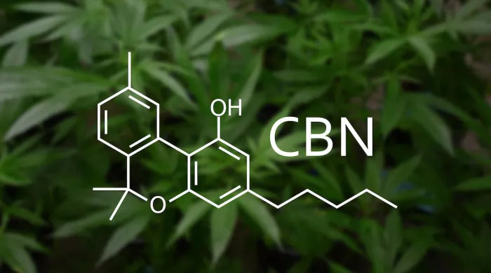 What is CBN? The entourage effect with CBD, CBN and CBG