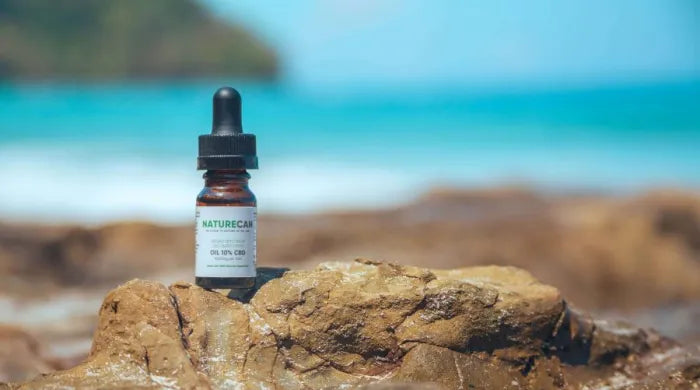 CBD Oil Dosage: How Much CBD Should I Take