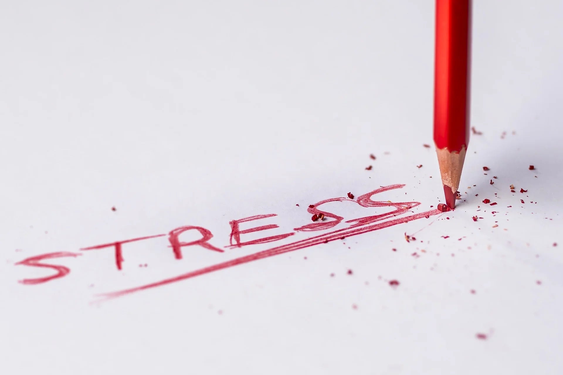 CBD and stress: What does the research say?