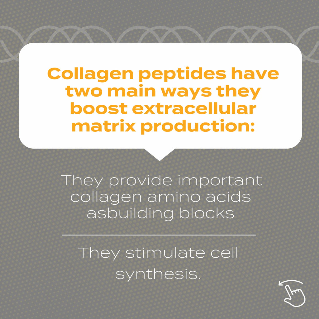 Collagen Peptides Powder