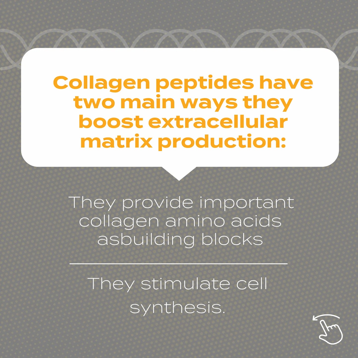 Collagen Peptides Powder