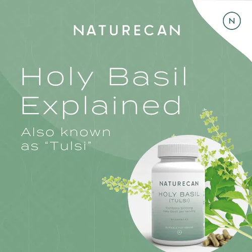 Bottle of Holy Basil Capsules labeled as "Tulsi" with green leaves and scattered capsules.