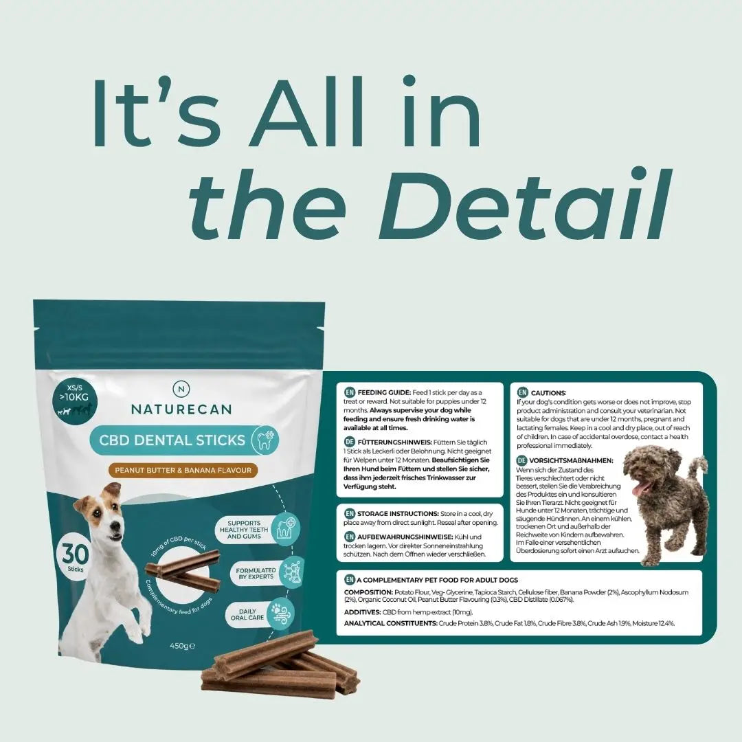 CBD Dental Sticks for Dogs