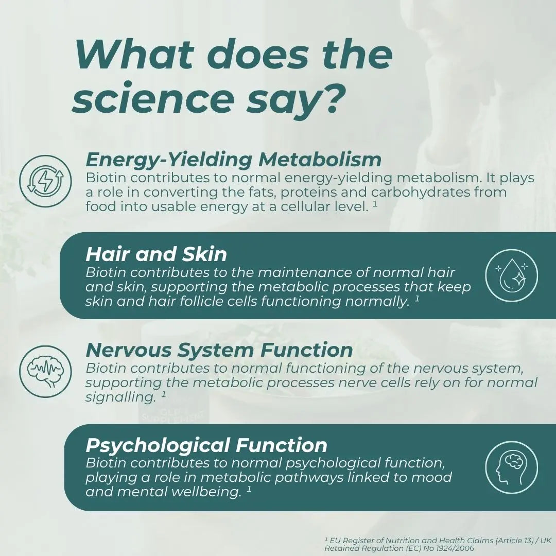 Infographic detailing the benefits of biotin on energy metabolism, hair and skin, nervous system function, and psychological function.