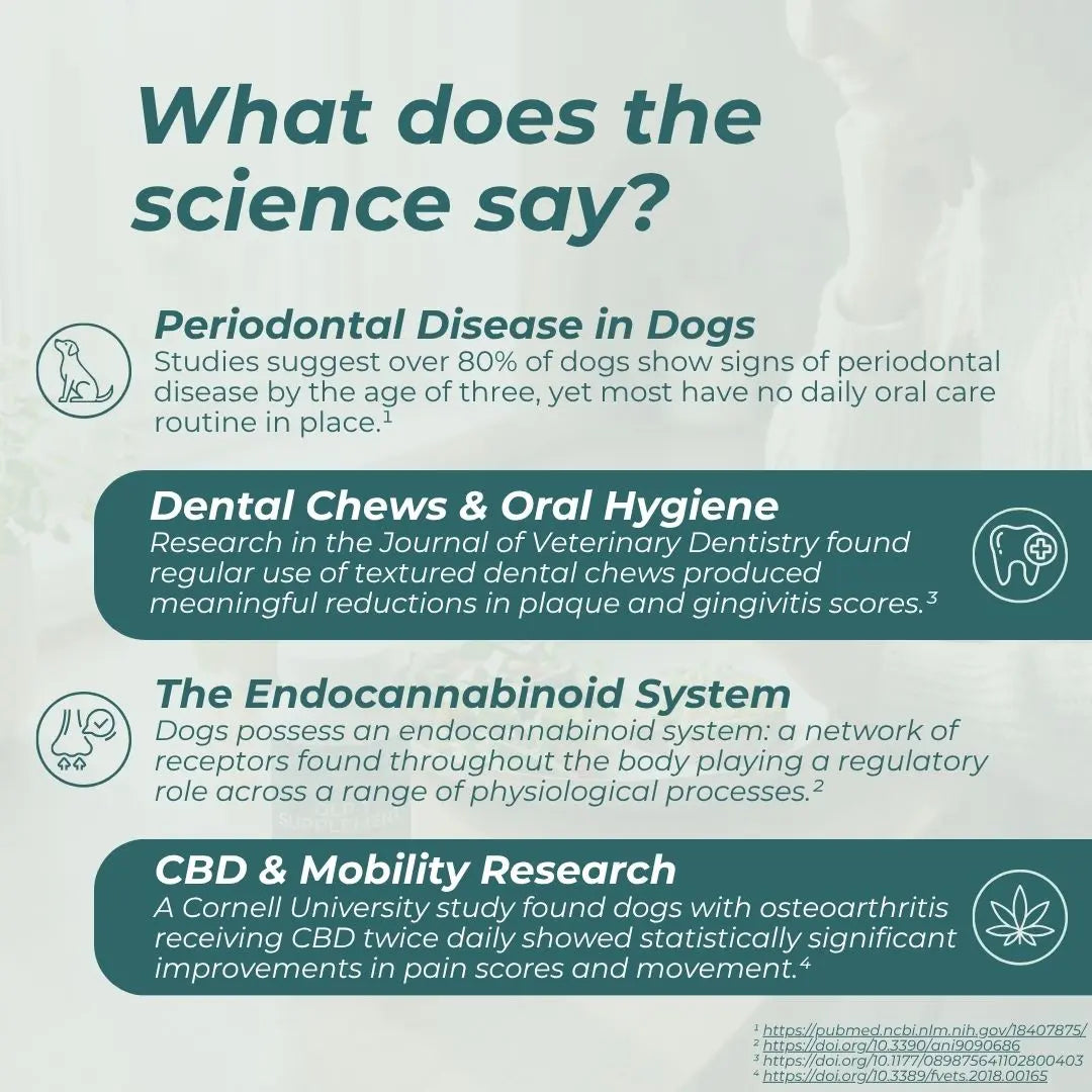 CBD Dental Sticks for Dogs