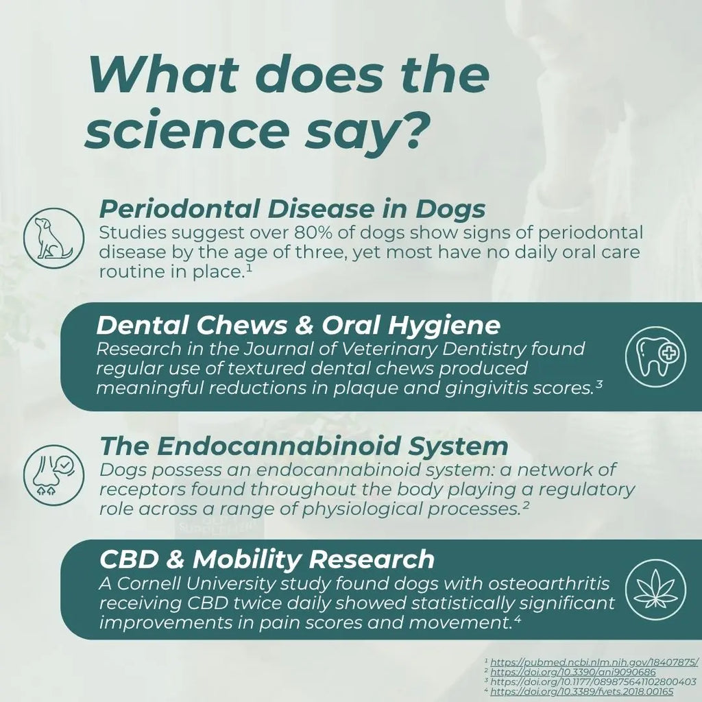 CBD Dental Sticks for Dogs