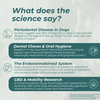 CBD Dental Sticks for Dogs