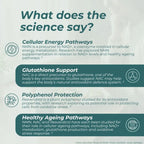 An informational infographic titled 'What does the science say?' with three dark teal text panels on a pale mint background. The panels discuss Cellular Energy Pathways, Glutathione Support, Resveratrol Protection, and Healthy Ageing Pathways, each accompanied by a small line icon.