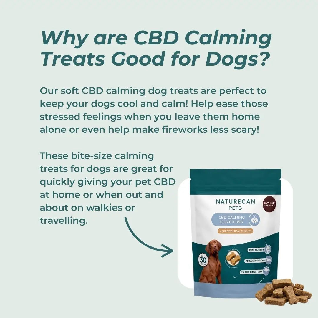 CBD calming dog treats packaging with text explaining benefits on a light blue background