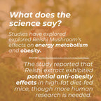Text about Reishi mushroom effects on energy metabolism and obesity with blurred background of mushrooms.