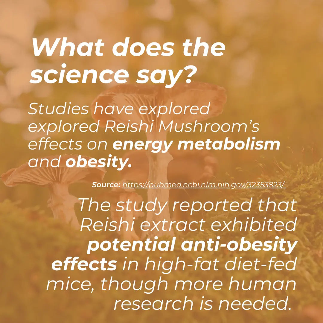 Text about Reishi mushroom effects on energy metabolism and obesity with blurred background of mushrooms.