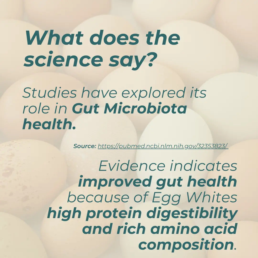Eggs with text about gut microbiota health and protein digestibility