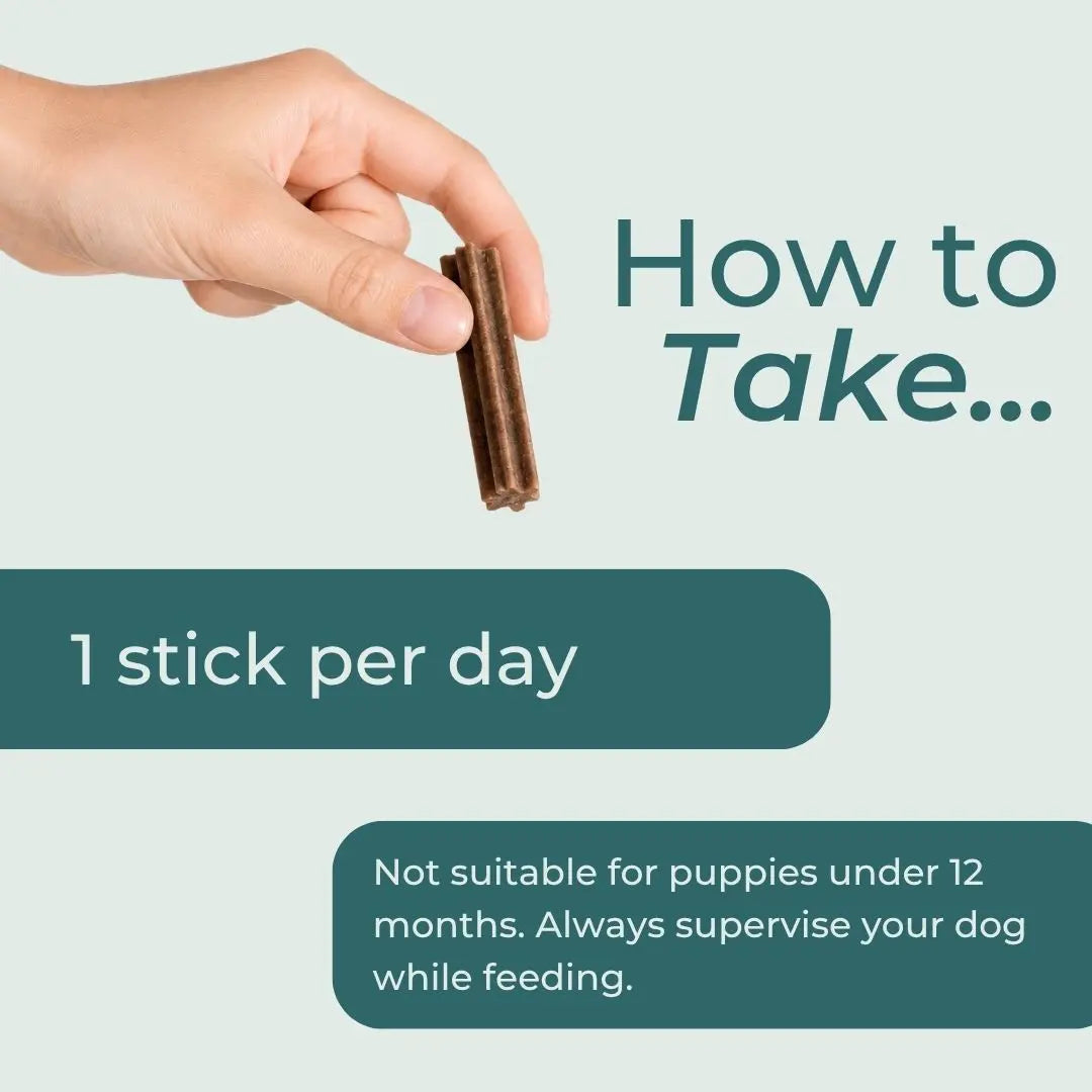 CBD Dental Sticks for Dogs