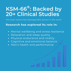 CBD Ashwagandha Relax Gummies