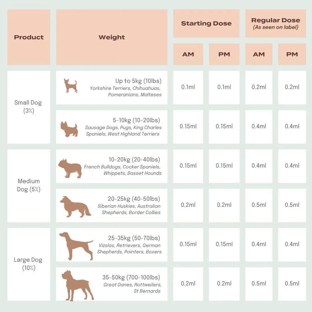 CBD Oil for Dogs