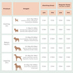 CBD Oil for Dogs
