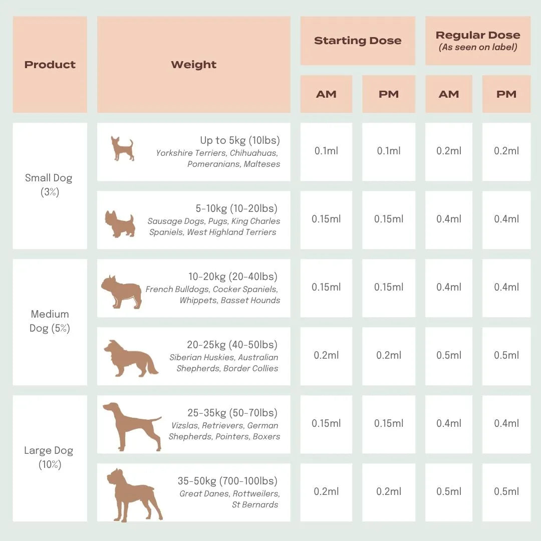 CBD Oil for Dogs