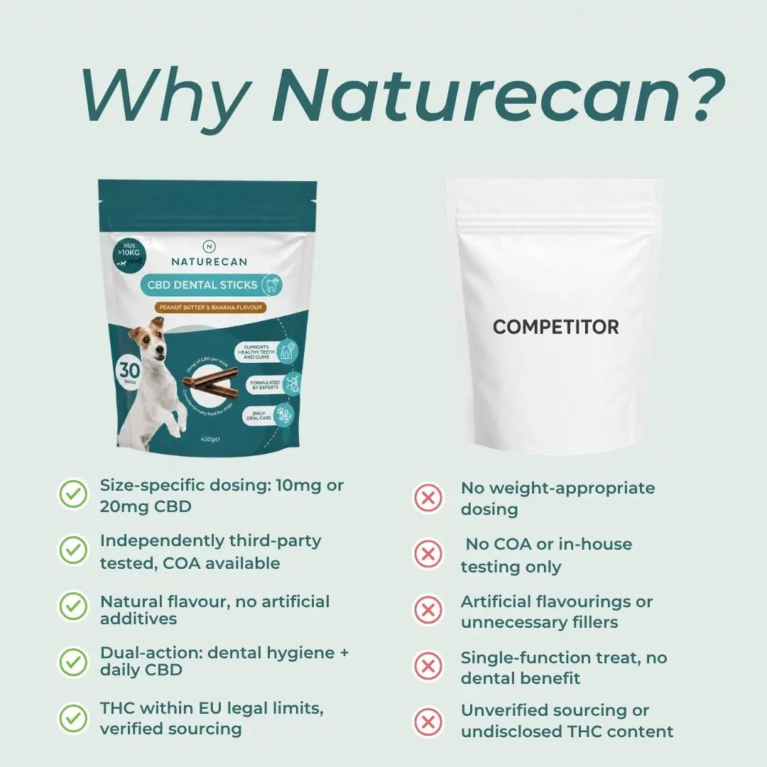 CBD Dental Sticks for Dogs