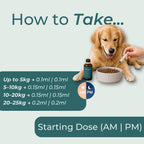 CBD Oil for Dogs