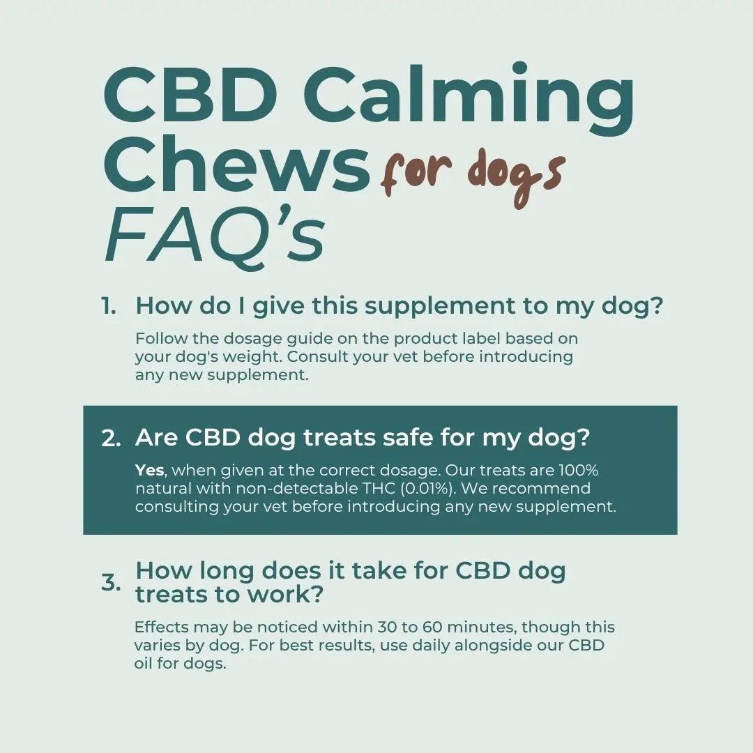 FAQs about CBD Calming Chews for dogs on a light blue background